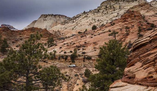Red Cliff's of Utah